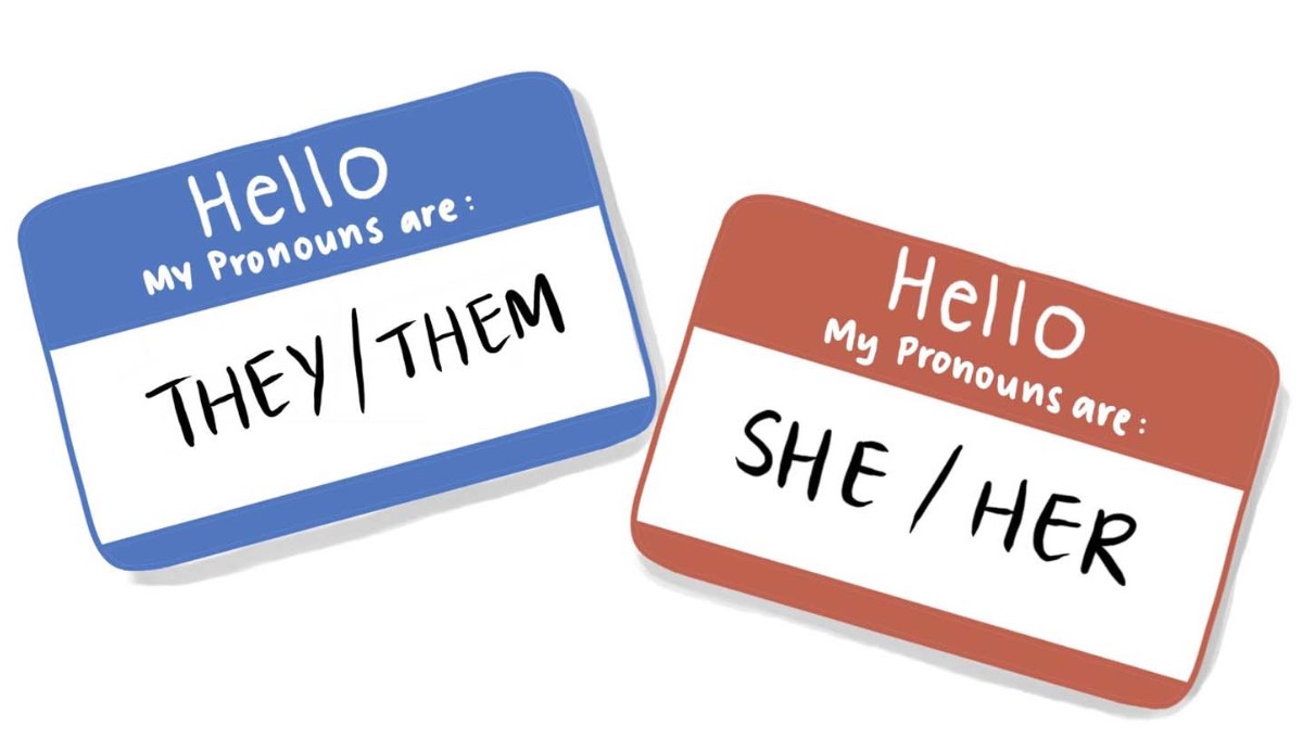 Pronouns Day