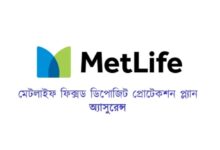 MetLife Insurance 2024