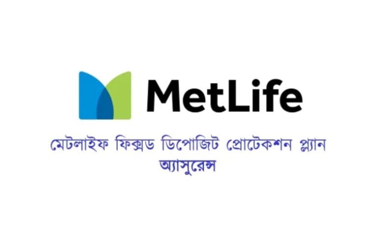 MetLife Insurance 2024