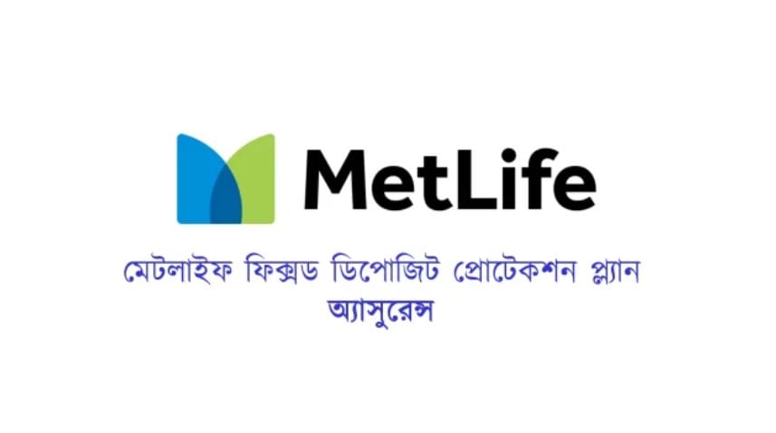 MetLife Insurance 2024