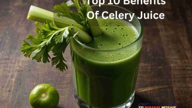 Top 10 Things You Should Know About the Benefits of Celery Juice