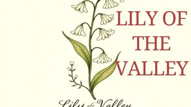 Lily of the Valley Tattoo Meaning