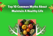 Top 10 Common Myths About Maintain A Healthy Life