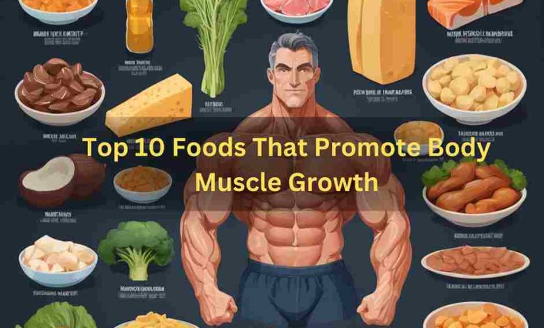 Top 10 Foods That Promote Body Muscle Growth