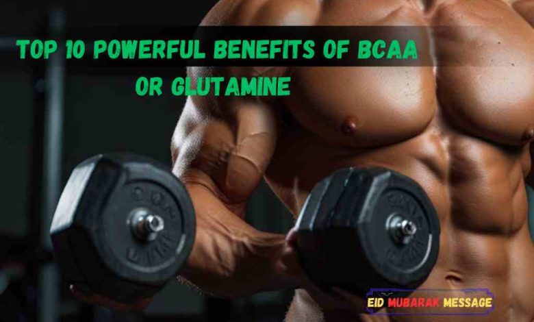 Top 10 Powerful Benefits of BCAA or Glutamine for Explosive Muscle Gains